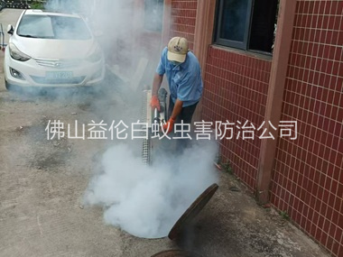 西樵环境蟑螂消杀工程
